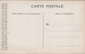 Switzerland Bernerhaus Vintage Postcard C218