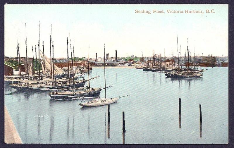 Sealing Fleet Ships Victoria Harbour BC unused c1910's