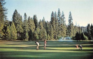 Golf Course TWAIN HARTE Tuolumne County, CA c1950s Vintage Postcard