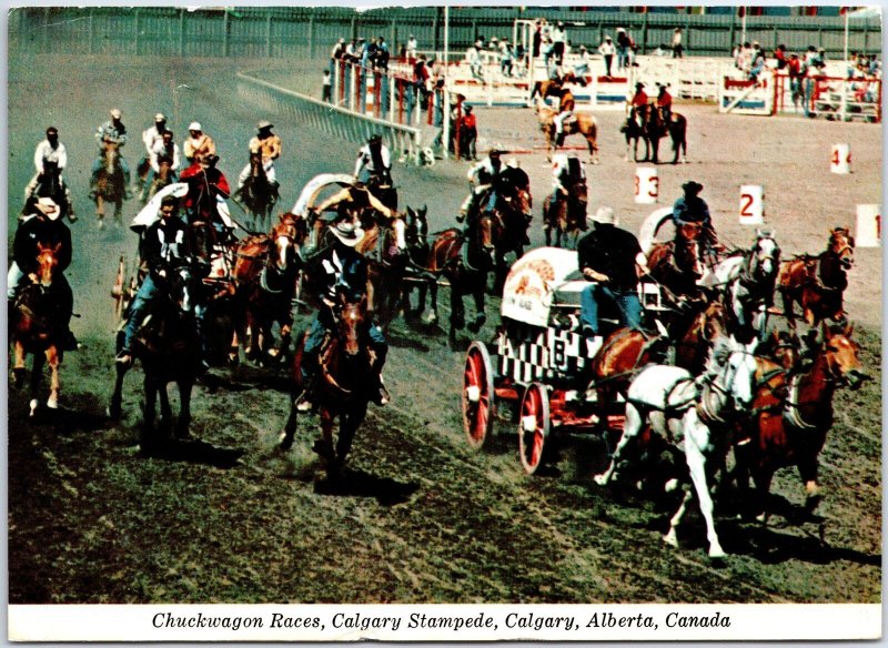 VINTAGE CONTINENTAL SIZE POSTCARD CHUCKWAGON RACES AT THE CALGARY STAMPEDE 1972