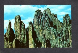 SD Black Hills National Forest Cathedral Spires South Dakota Postcard