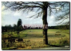 Postcard Modern Limousin Huge contemplation of nature