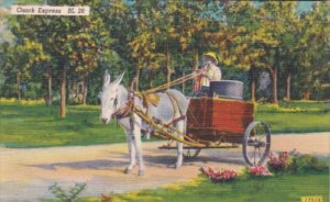 Donkey and Wagon Ozark Express