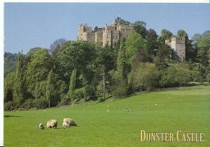 Somerset Postcard - Dunster Castle   AB226