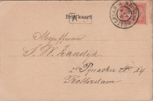 Netherlands Rotterdam Diergaarde Vintage Postcard 04.11