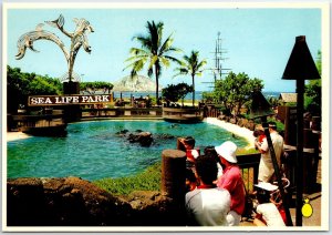 CONTINENTAL SIZE POSTCARD SEA LIFE PARK OPPOSITE MAKAPUU BEACH OAHU HAWAII