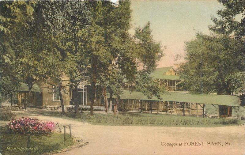 FOREST PARK, Pennsylvania  PA   Handcolored  COTTAGES  Albertype  Postcard