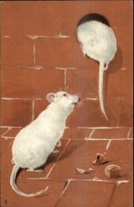 Mice or Rats Brick Wall - Raphael Tuck Art Series 1019 c1905 Postcard #1