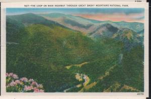 Linen colour PC Highway Loop Great Smoky Mountains National Park unused