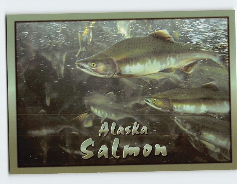 Postcard Alaska Salmon, Alaska