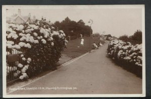 Isle of Wight Postcard - Keats Green, Shanklin - Showing Hydrangeas  RS12960