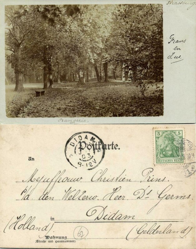 france, STRASBOURG STRASSBURG, Alsace, Parc de l'Orangerie (1903) RPPC