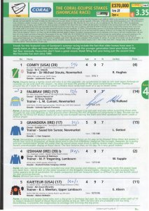 Darryl Holland Horse Racing Jockey Hand Signed Race Card Page