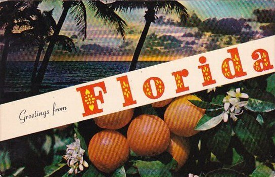 Florida Greetingsa Florida 1967