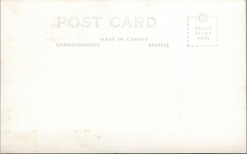 Buena Vista Lodge Orillia Ontario ON Unused Real Photo Postcard F8