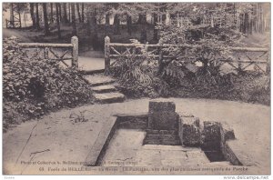 BELLEME (Orne), France, 1900-1910s; La Herse, La Fontaine, Une Des Plus Curie...