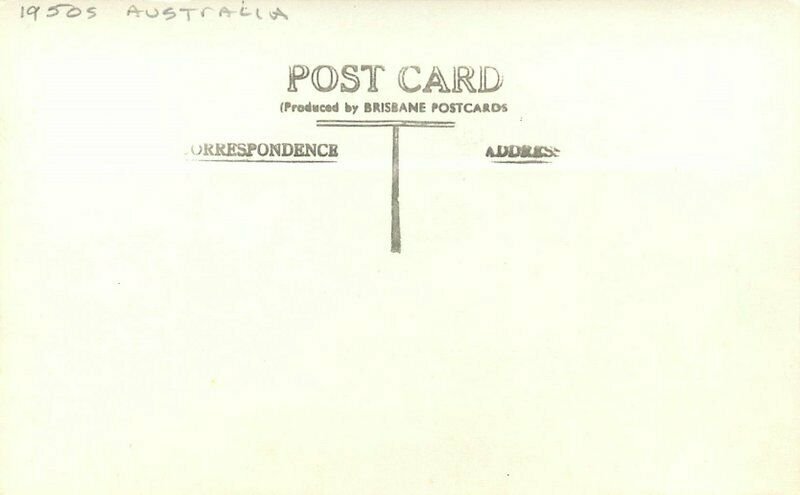 Australia Baby Koala Lone Pine Brisbane #2 RPPC Photo Postcard 7838