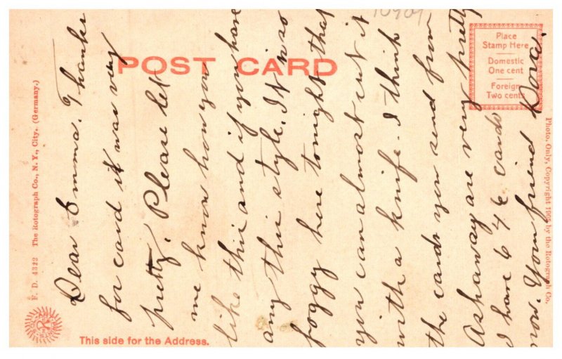 The lake Road , Trees , wood border