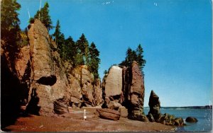 Giants Hopewell Rocks NB New Brunswick Canada Postcard VTG UNP Vintage Unused 