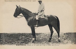 Gaulois La France Chevaline 1906 Race Horse Antique PB Postcard