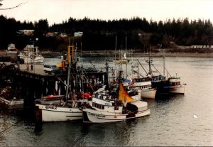 Alaska Yakutat Sitka Sound Dock Fishing Boats