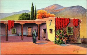 Mexican Home Old Colonial Spanish Influence Chili Drying Mexico Postcard