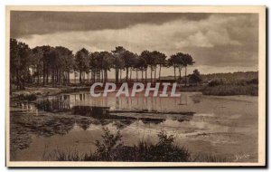 Old Postcard Landes A corner of the lake of Aureilhan near Mimizan