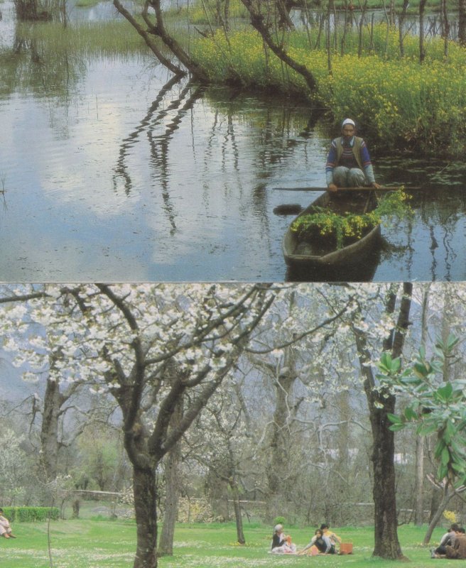 Mughal & Floating Gardens Srinagar Kashmir 2x Postcard s