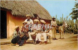 Postcard Modern Curacao NA Typical Countryside Setting with native Strawroofe...