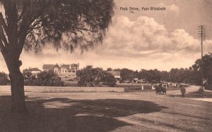 Vintage Postcard Park Drive Grounds Port Elizabeth South Africa