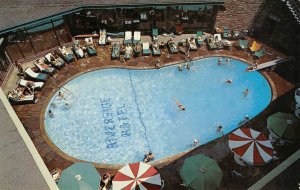 RIVERSIDE HOTEL Reno, NV Swimming Pool Sun Deck Roadside c1950s Vintage Postcard