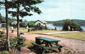 New Brunswick, Canada  PROVINCIAL PARK~NEW RIVER BEACH  Picnic~Camping  Postcard