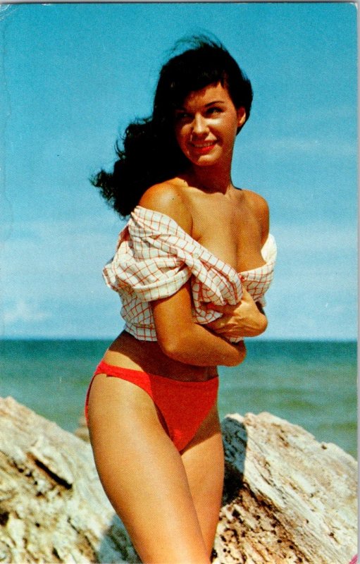 1982 Beauty in the breeze pinup covering up postcard