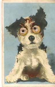 Funny dog Vintage Dutch postcard with moving glass eyes, 1950s