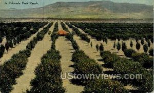 A Colorado Fruit Ranch - Misc Postcard