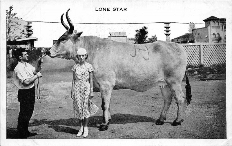 G83/ San Antonio Texas Postcard c1940s Lone Star Largest Known Cow