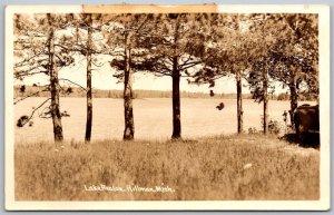 Hillman Michigan 1940s RPPC Real Photo Postcard Lake Avalon