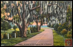 A Scene on U.S. Highway 301 in Dixieland