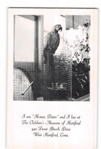 West Hartford CT Vintage Postcard Horace Peters Parrot Children's Museum