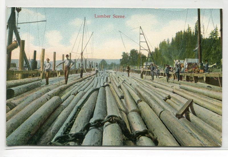 Lumber Scene Logging Raft Pacific Northwest 1910c postcard