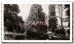 Postcard Moderne Vichy Basin Swan