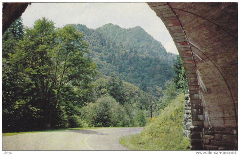 Chimney Tops Seen From Loop Overpass, Highway U.S. 441, Smoky Mountains Natio...