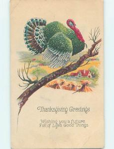 Pre-Linen thanksgiving TURKEY BIRD SITS ON A BRANCH BY THE HAYSTACKS HQ7663