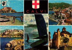 CPM CORSE - CALVI - Souvenir (711031)