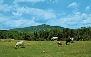 VT - Big Bromley Mountain near Manchester