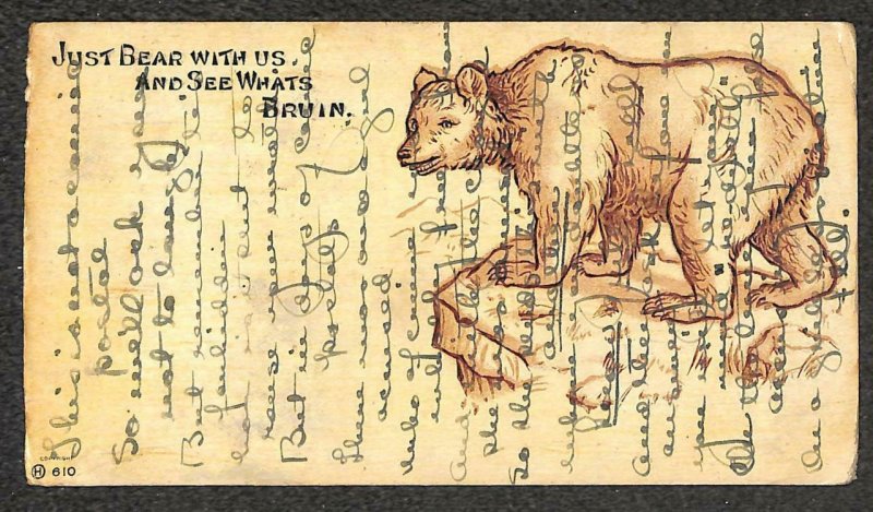 JUST BEAR WITH US AND SEE WHAT'S BRUIN COMIC ANIMAL NOVELTY POSTCARD 1906