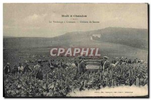 Old Postcard Folklore Wine Vintage Champagne Moet & Chandon The harvest has C...