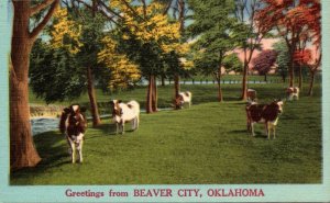 Oklahoma Greetings From Beaver City