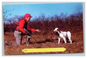 Vintage 1960's Postcard Hunter with His Retriever Hunting Dog with Pheasant