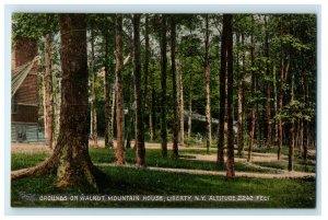 c1910s Grounds on Walnut Mountain House Liberty New York NY Posted Postcard 